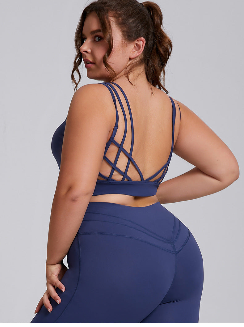 Navy Core  Sculpt Bra